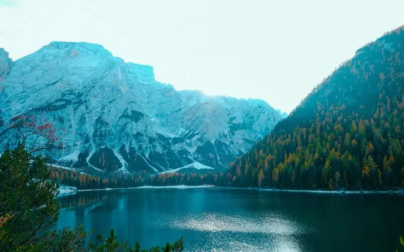 高标准高标准高效